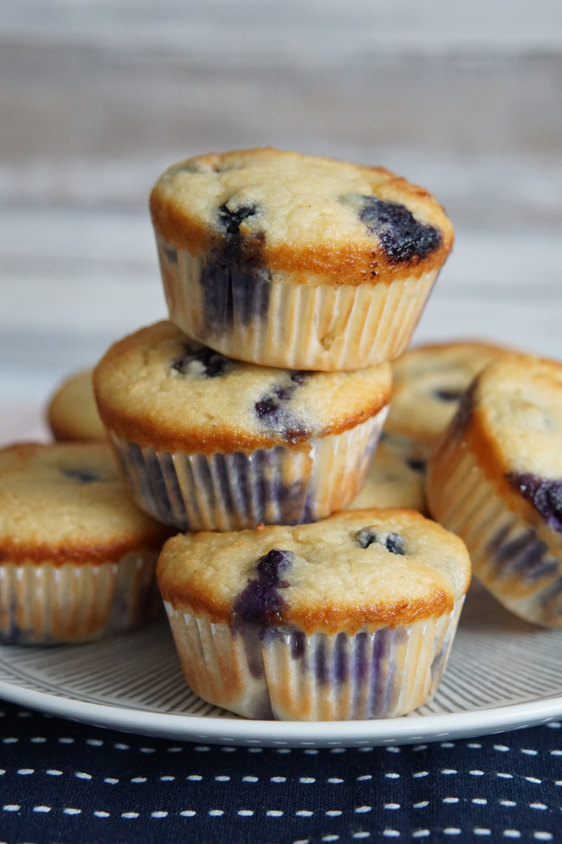 Keto Blueberry Muffin